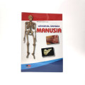 Mengenal Rangka Manusia